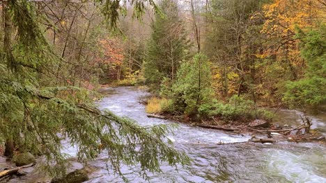 Water-stream-rushing-in-the-forest-with-autumn-colors