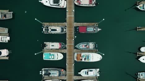 Aerial-drone-top-down-point-of-view-of-halibut-fishing-boats-docked-in-marina-in-Homer-Alaska-Harbor