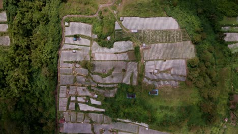 Topdown-Aéreo-De-Tierras-Agrícolas-Cerca-De-Las-Montañas-Batur-En-Bali,-Indonesia