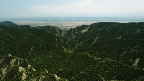 Exuberante-Valle-Del-Cañón-Con-Colinas-En-La-Reserva-Natural-De-Vashlovani,-Georgia