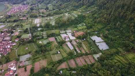 Aerial-Panorama-Of-Rural-Village-With-Agricultural-Crops-At-The-Foot-Of-Mount-Batur-In-Bali,-Indonesia