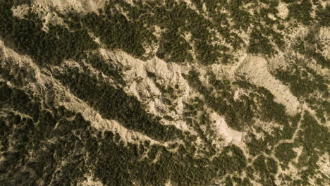 Dry-stripes-of-land-between-scarce-vegetation-in-arid-area,-Georgia