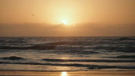Sun-peeking-behind-clouds-as-bird-flys-by-golden-hour-sunrise-or-sunset-on-Texas-beach-with-waves-crashing-onto-shore