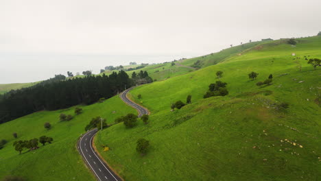 Coastal-road-through-hilly-meadows-in-New-Zealand,-aerial-drone-view
