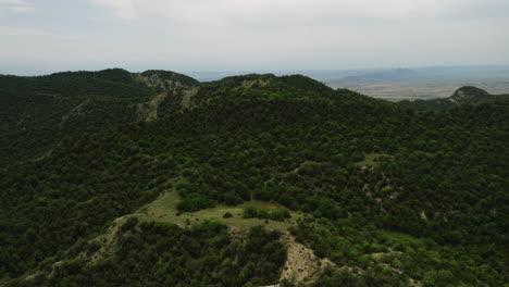 Lush-hill-crest-with-dense-bush-vegetation-in-Vashlovani,-Georgia