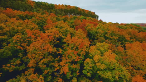 FPV-aerial-drone-view-flying-over-brilliant,-colorful-autumn-leaves-and-fall-foliage