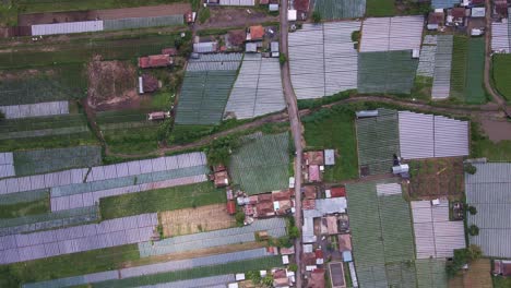 Tierras-Agrícolas-Fértiles-En-El-Pueblo-Rural-Cerca-De-La-Montaña-Batur-En-Bali,-Indonesia