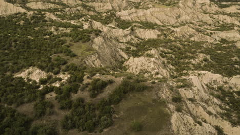 Rocky-cliffs-with-bushes-above-eroded-ravines-in-Vashlovani,-Georgia