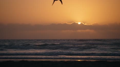 Silhouette-of-majestic-ocean-bird-flapping-wings-in-slow-motion-during-perfect-golden-hour-sunrise-or-sunset-peaking-behind-clouds-on-the-horizon-with-waves-crashing-in-the-background