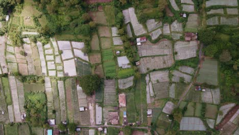 Vista-Aérea-De-La-Tierra-Cultivada-Con-Cultivos-Agrícolas-Cerca-Del-Monte-Batur-En-Bali,-Indonesia