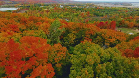 FPV-aerial-drone-view-flying-over-an-autumn-forest-with-bright,-orange-foliage