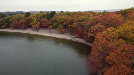 Beautiful-drone-shot-of-trees-next-to-lake-in-autumn-season-colours