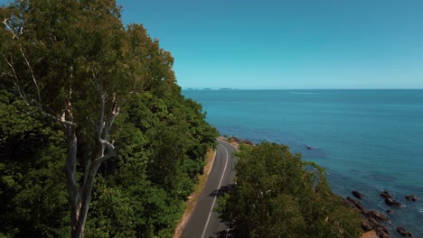 Aerial-drone-bird-view-of-road-along-the-seaside-coast-with-sandy-beach-and-lush-green-tree-forest-and-blue-sea-waves-in-4K