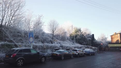Wide-shot-of-a-line-of-cars-parked-on-the-pavement