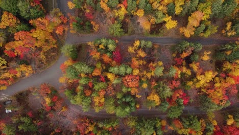 Aerial-landscape-top-view-over-a-road-winding-through-a-colorful-autumnal-forest,-with-yellow-red-and-orange-foliage