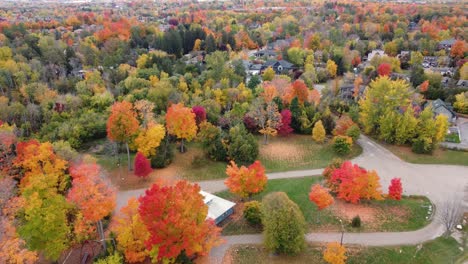 Aerial-forward-view-on-countryside-houses-in-forest-with-wonderful-autumn-colors