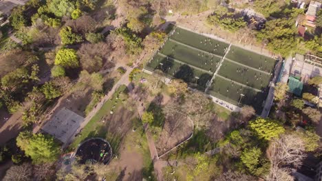 Football-soccer-fields-in-Las-Heras-park,-Buenos-Aires-city-in-Argentina
