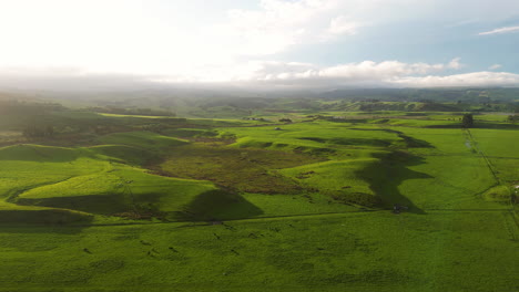 Aerial-view-of-Huriawa,-commonly-known-as-Huriawa-Peninsula-or-Karitane-Peninsula,-green-hills-with-warm-sunset-light