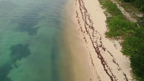 Cinematic-drone-reveals-a-young-beautiful-girl-running-on-the-scenic-empty-beachside-of-Cozumel,-a-Mexican-island-in-the-Caribbean-Sea