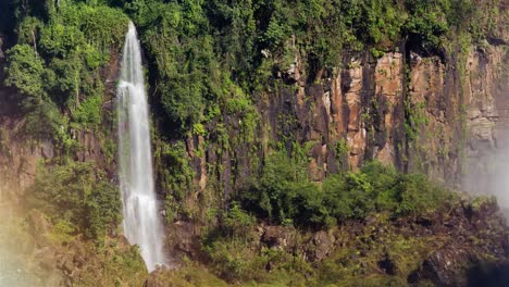 Pequeña-Cascada-Entre-El-Bosque-Atlántico-Del-Parque-Nacional-De-Iguazú