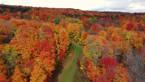 High-speed-drone-shot-of-a-large-area-of-a-golden-autumn-forest