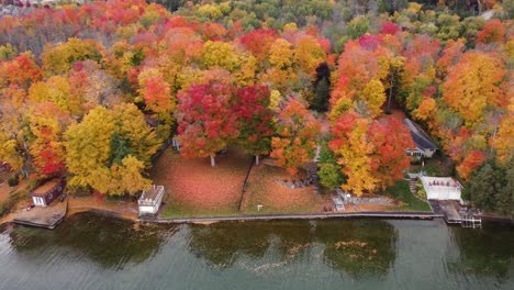 Aerial-drone-shot-revealing-fall-foliage-inside-Algonquin-Provincial-Park-alongside-beautiful-lake-and-birds-flying-around,-Ontario,-Canada