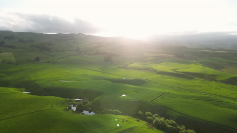 Green-Meadows-on-sunrise-in-Huriawa-Historic-Site,-New-Zealand,-aerial
