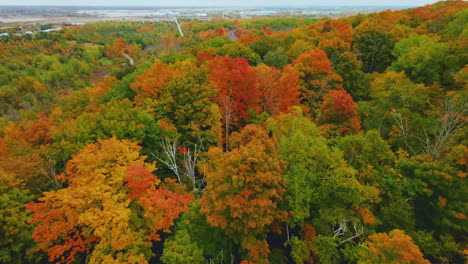 Scenic-FPV-aerial-drone-view-flying-over-colourful-fall-leaves-in-Ontario,-Canada