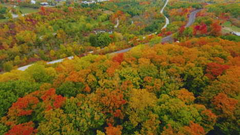 Scenic-FPV-aerial-view-over-colorful,-bright-fall-foliage