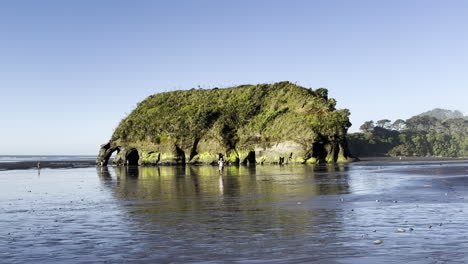 Vista-Asombrosa-De-La-Roca-Elefante-Cerca-De-Tongaporutu,-Costa-Norte-De-Taranaki,-Nueva-Zelanda