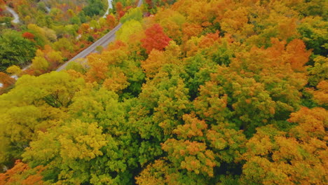 FPV-aerial-view-flying-over-colorful-autumn-leaves-on-the-Niagara-Escarpment,-Ontario,-Canada