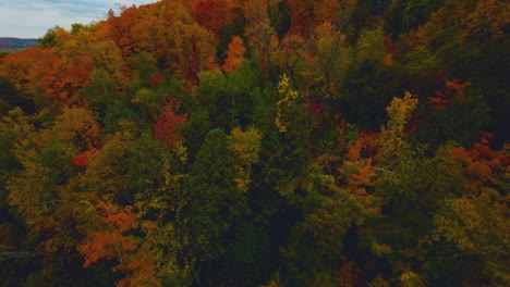 FPV-aerial-drone-view-over-a-picturesque-autumn-forest-with-vibrant,-colorful-leaves