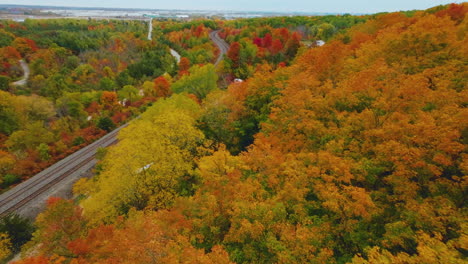 FPV-aerial-drone-view-flying-over-colorful,-vivid-autumn-leaves