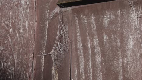 Nahaufnahme-Eines-Gefrorenen-Spinnennetzes-Auf-Einem-Holzschuppen
