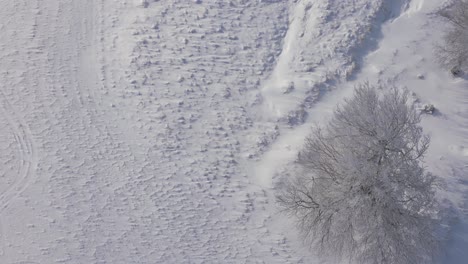 Top-down-shot-on-nordic-landscape-covered-by-snow