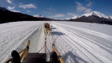 Husky-Dog-sled-ride-in-snow-with-mountain-view-in-Argentina-Ushuaia