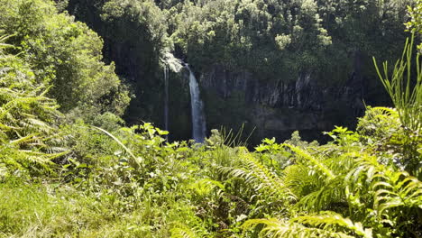 Dawson-Falls-In-Egmont-National-Park-At-The-North-Island-of-New-Zealand,-Taranaki-Region