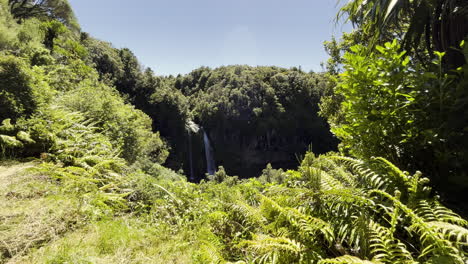 Verdant-Landscape-Of-Forest-With-Dawson-Falls-At-Background-In-Taranaki-Region-of-New-Zealand