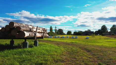 Pile-of-logs-raised-above-ground-in-rural-area,-dolly-forward