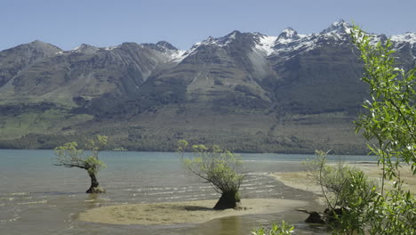 Weiden-Im-Seichten-Wasser-Am-Lake-Wakatipu-In-Neuseeland