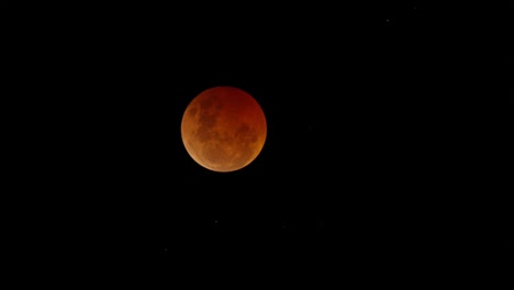 Blood-Moon-Lunar-Eclipse-close-up