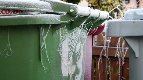 Nahaufnahme-Eines-Riesigen-Spinnennetzes-Auf-Einem-Mülleimer