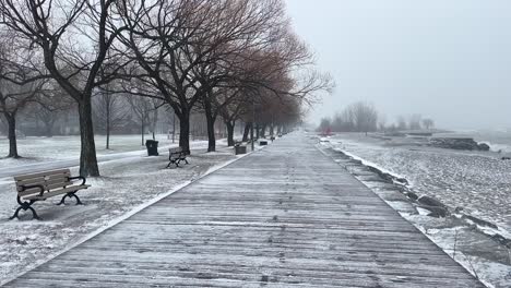 Empty-Benches-Under-Bare-Trees-In-A-Public-Park-During-Snowstorm