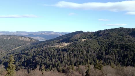 Retroceso-Sobre-La-Montaña-Del-Bosque-De-Pinos-En-El-Macizo-De-Ceahlău,-Cárpatos-Orientales,-Rumania