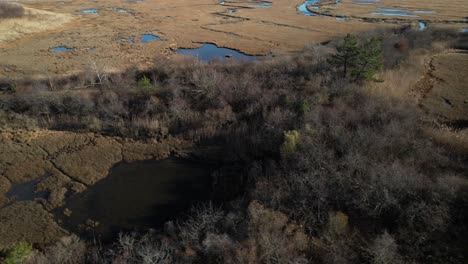 An-aerial-view-of-the-dry-grass-and-salt-marsh-in-Freeport,-NY-on-a-sunny-day