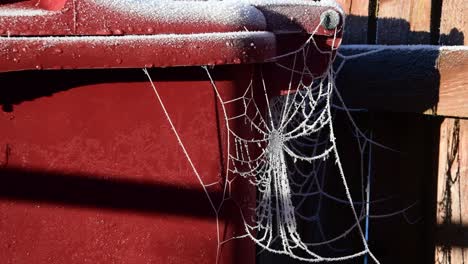 Ein-Riesiges-Gefrorenes-Spinnennetz-Auf-Einem-Papierkorb