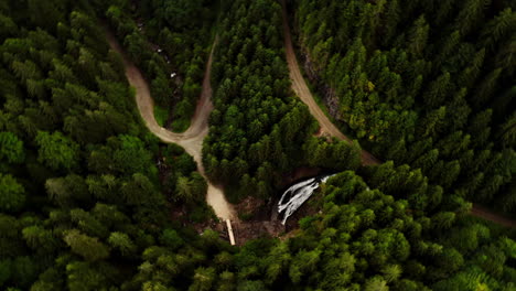 Green-Forest-Pine-Trees,-Trail-Path-and-Waterfall-At-Vladeasa-Peak-and-Bride's-Waterfall-Region-Romania,-Aerial-Top-Down-Orbital-View