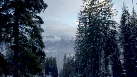 Driving-along-fairytale-forest-in-winter-towards-majestic-Tatra-mountains-Poland