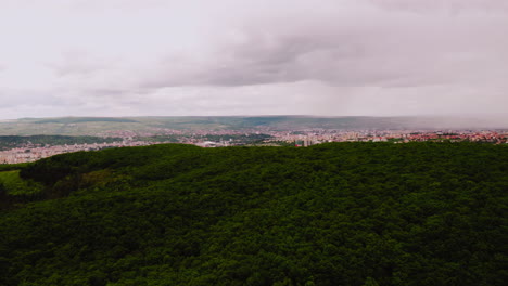 Rumänischer-Wald-In-Der-Nähe-Der-Stadt-Cluj-Napoca