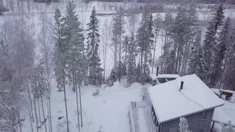 Gemütliches-Winterrefugium-In-Den-Skandinavischen-Wäldern
